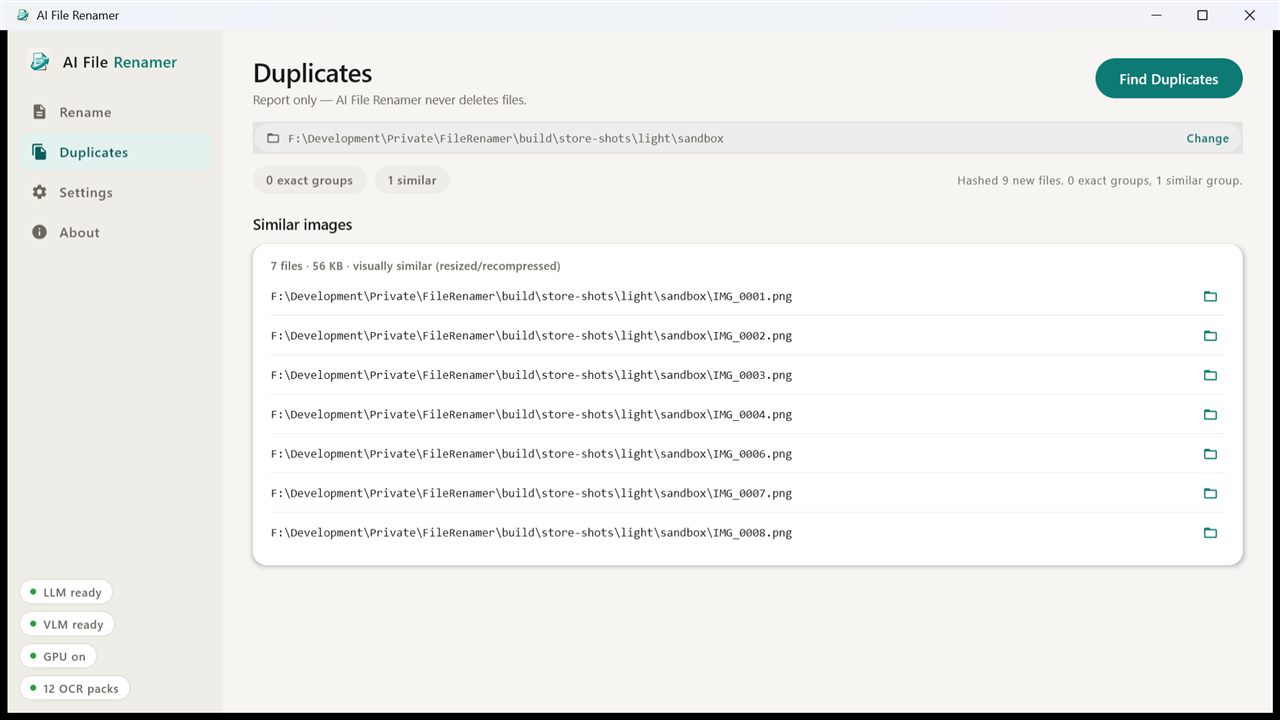 The Duplicates screen showing an exact-match group and a visually-similar group, each listing full file paths.